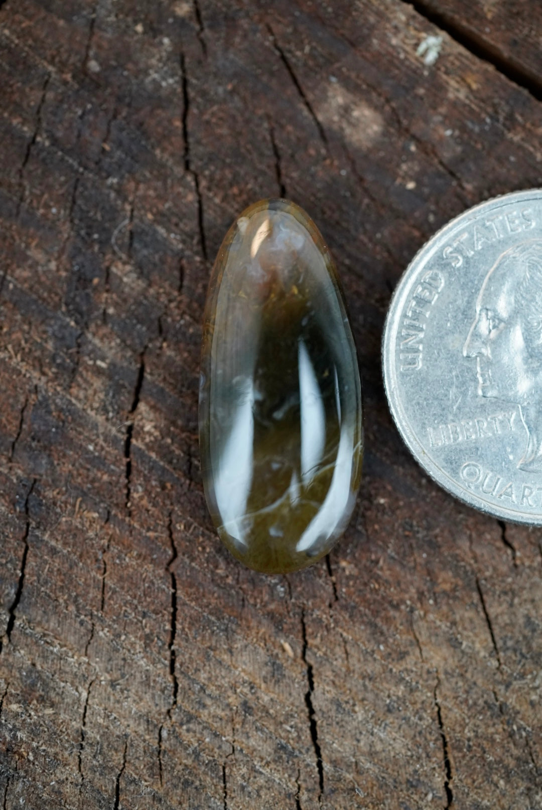 Ochoco Moss Agate Cabochon