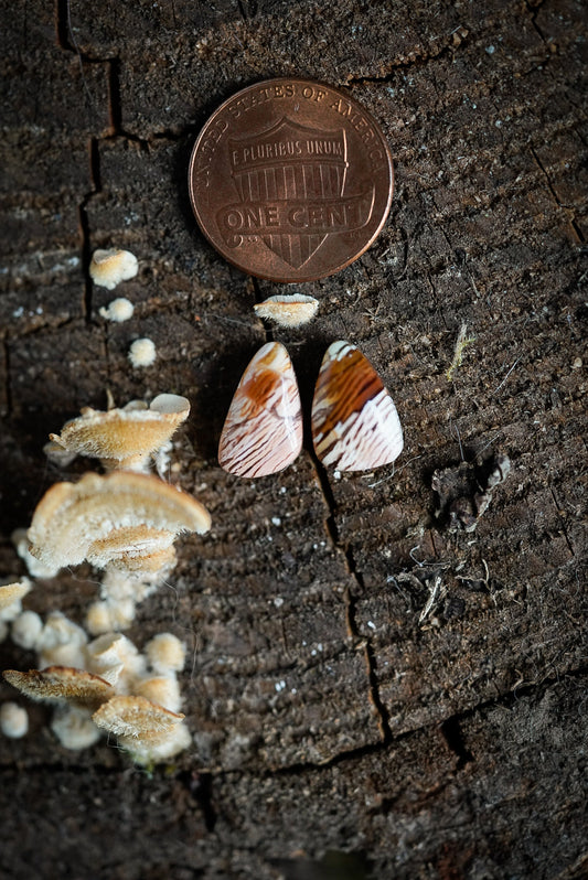 Howardite Cabochon Pair