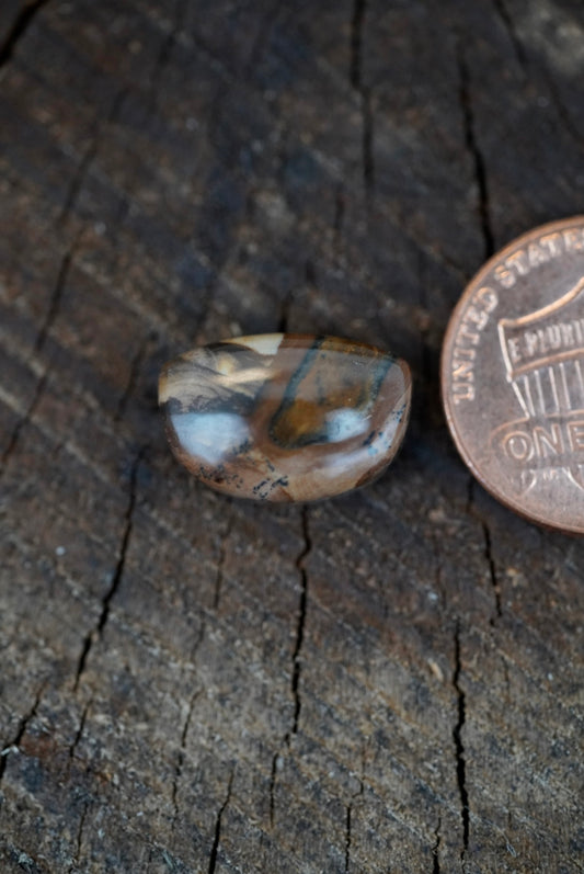 Deschutes Jasper Cabochon