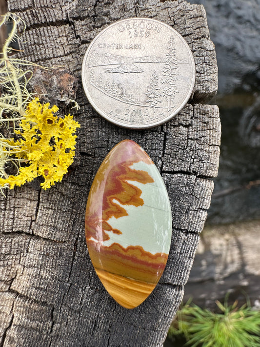 Owyhee Jasper Cabochon