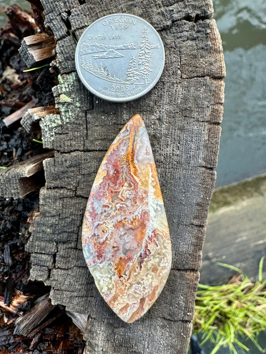 Bella Vista Plume Agate Cabochon