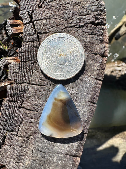 Montana Agate Cabochon