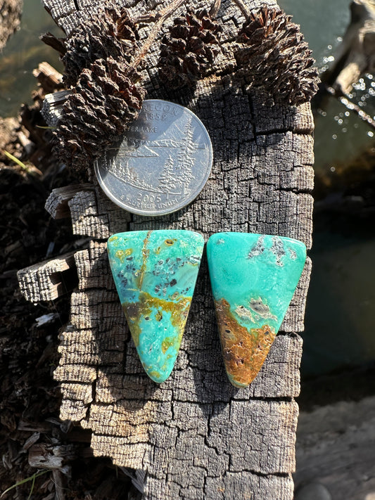 Turquoise Cabochon Pair