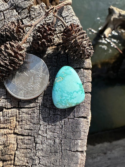 Turquoise Cabochon