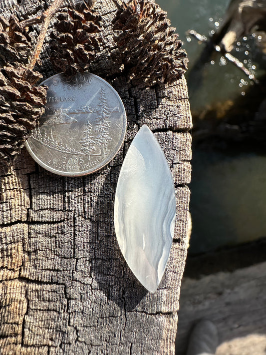 Ochoco Agate Cabochon
