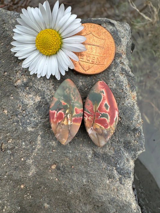 Cherry Creek Jasper Earring Pair Cabochons