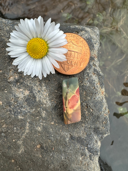 Cherry Creek Jasper Cabochon