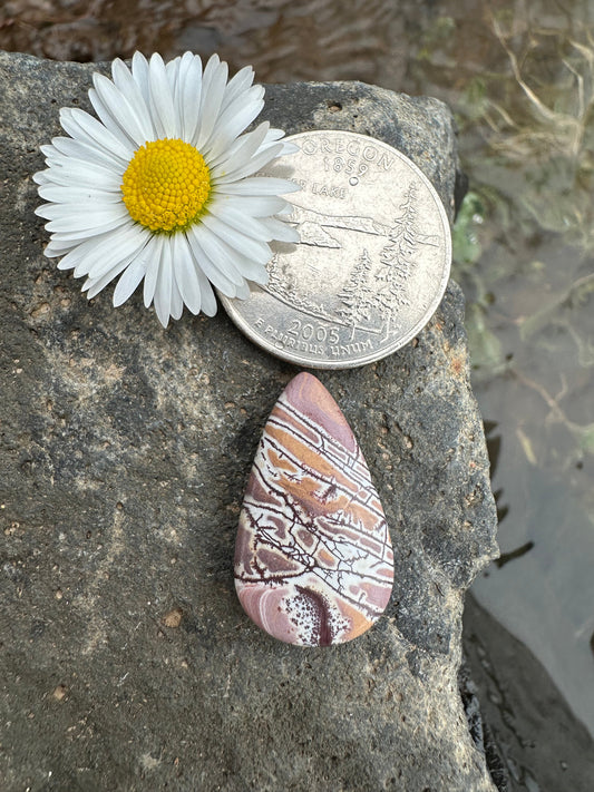 Sonoran Dendritic Rhyolite Cabochon