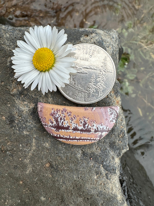 Sonoran Dendritic Rhyolite Cabochon