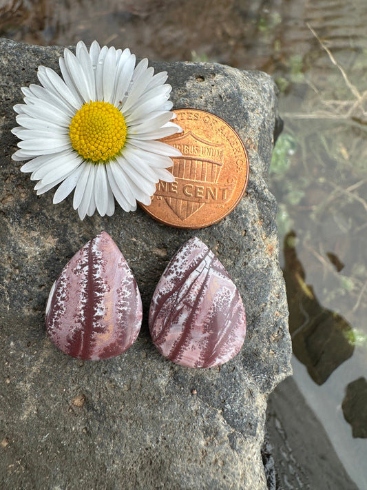 Sonoran Dendritic Rhyolite Earring Pair Cabochons