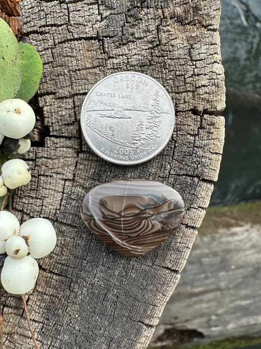 Swiss Coffee Stone Cabochon