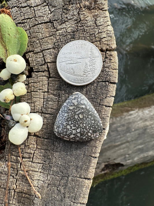 Dino Bone Cabochon