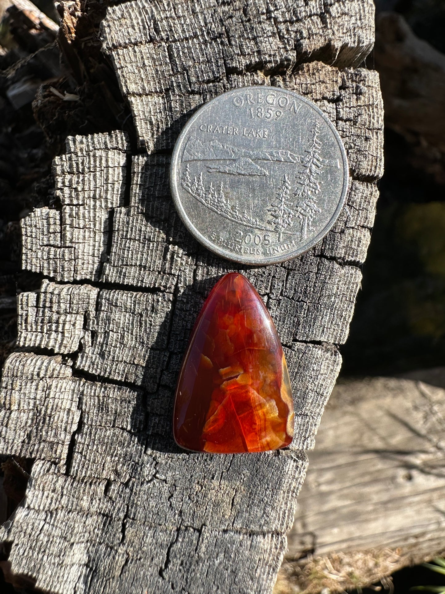 Cornflake Carnelian Cabochon