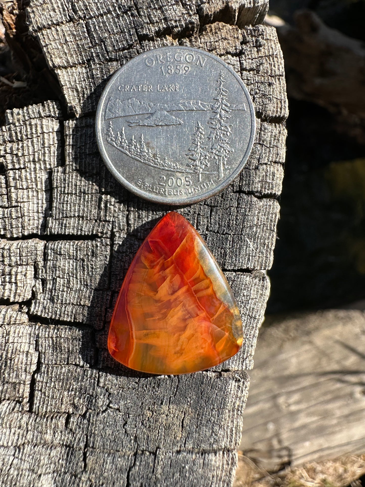Cornflake Carnelian Cabochon