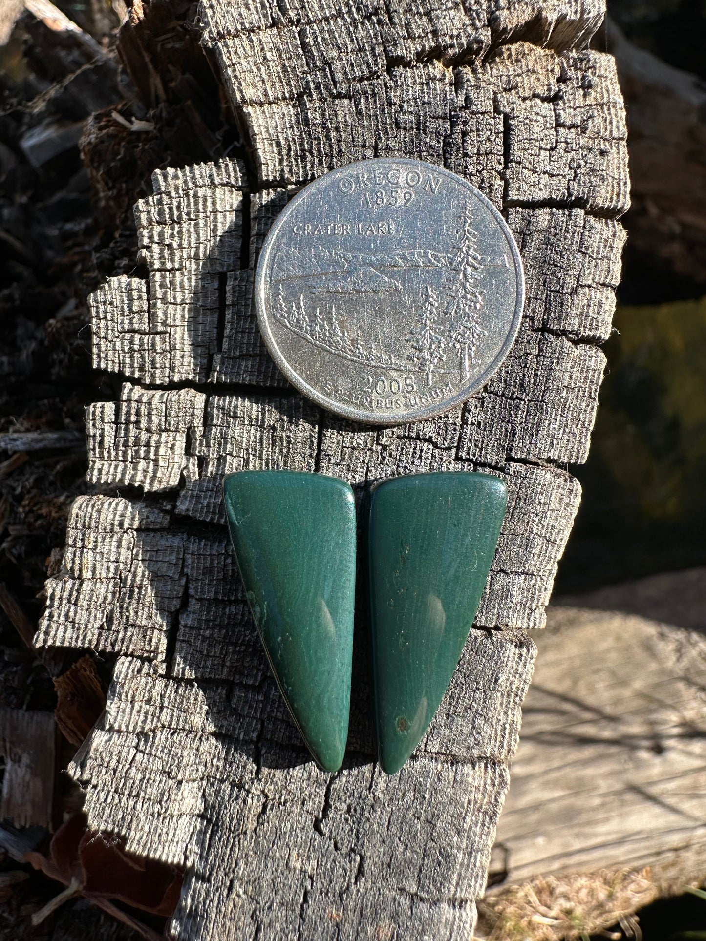 Forest Green Petrified Wood Earring Pair Cabochons
