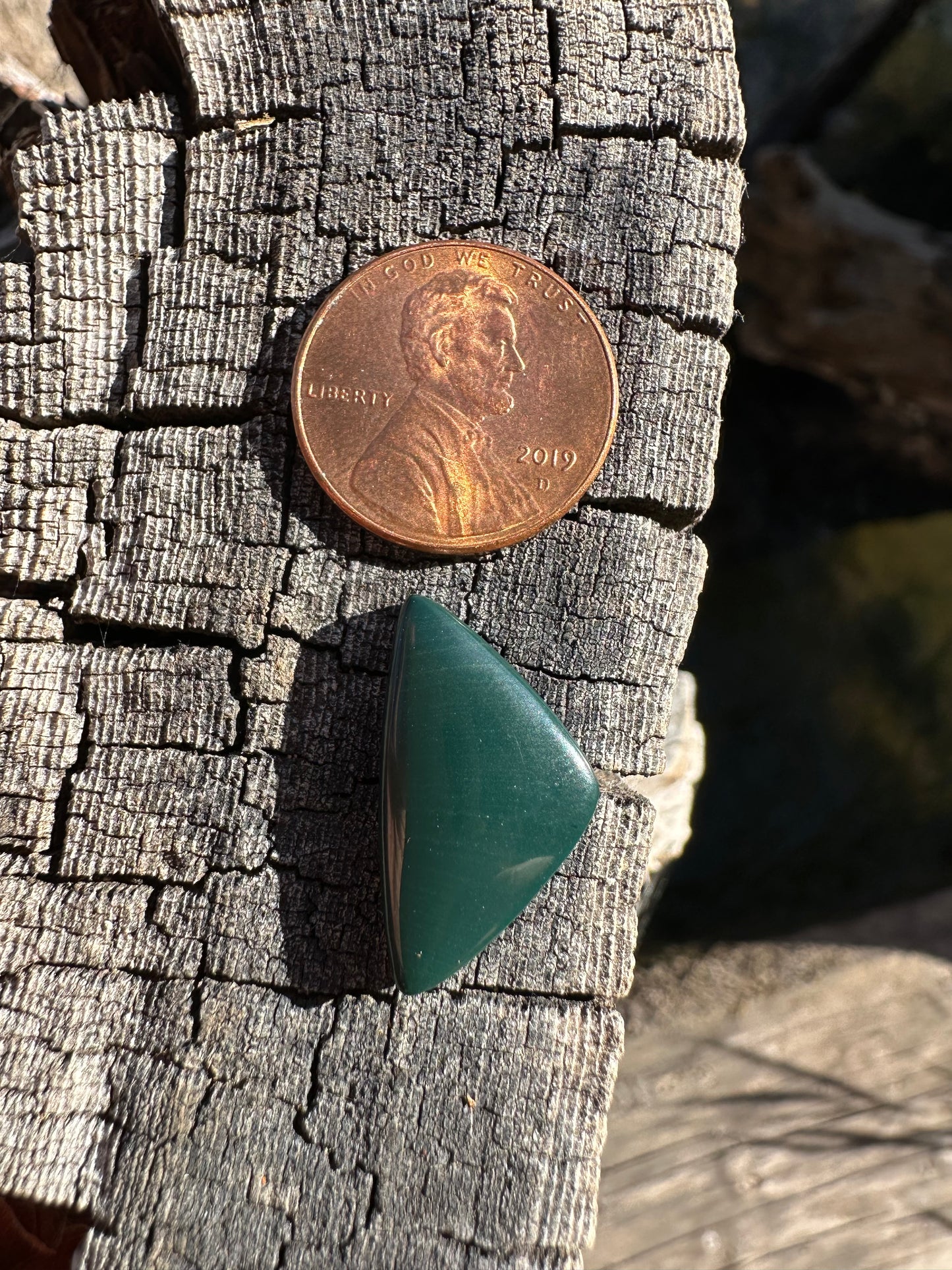 Forest Green Petrified Wood Cabochon