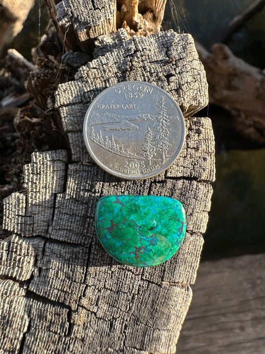 Chilean Webbed Chrysocolla Cabochon