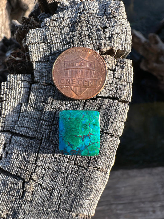 Chilean Webbed Chrysocolla Cabochon