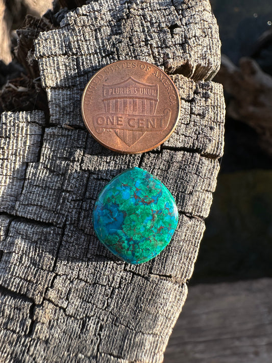 Chilean Webbed Chrysocolla Cabochon