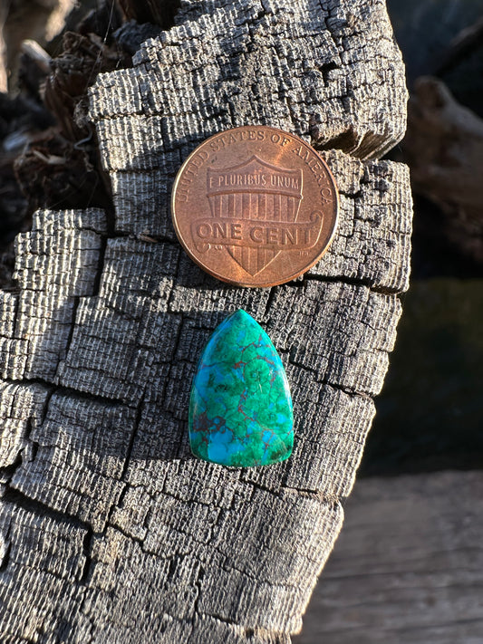 Chilean Webbed Chrysocolla Cabochon