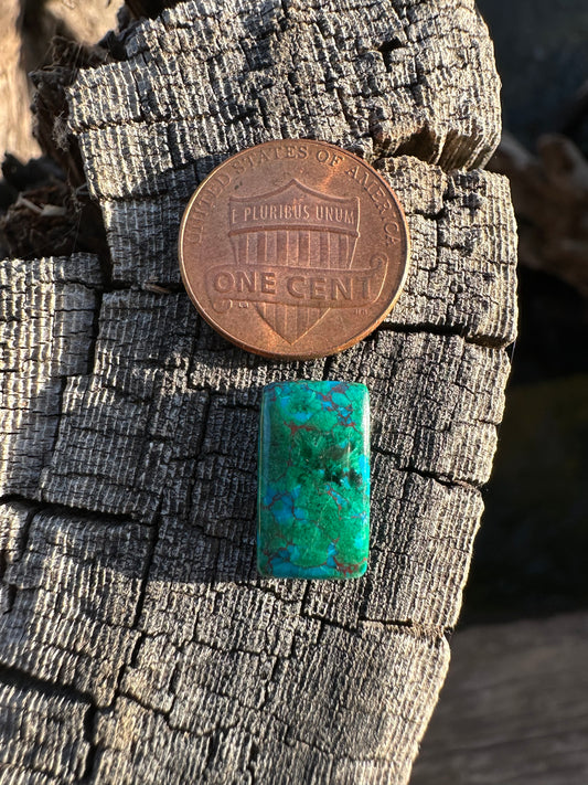 Chilean Webbed Chrysocolla Cabochon