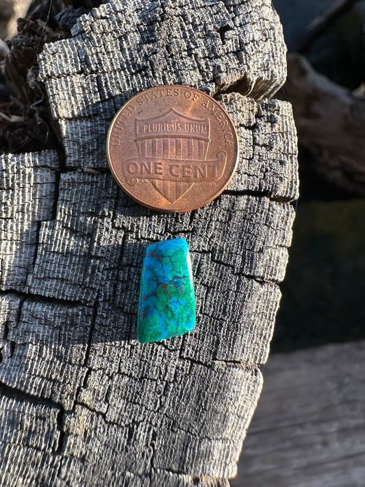 Chilean Webbed Chrysocolla Cabochon