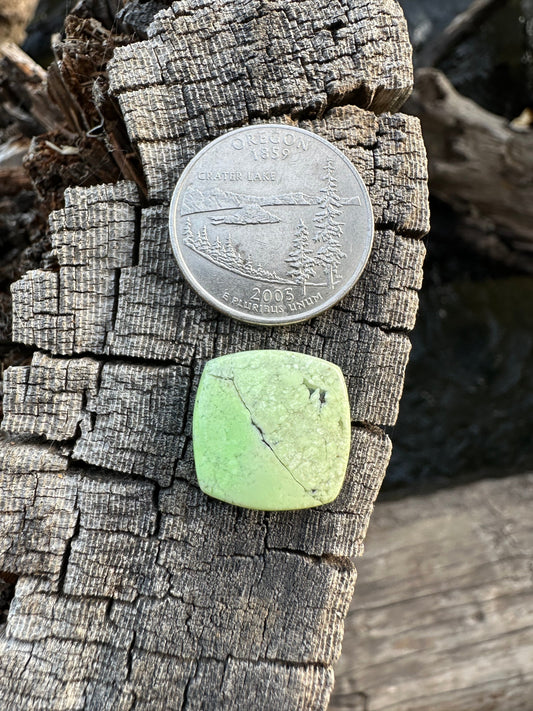 Lemon Chrysoprase Cabochon