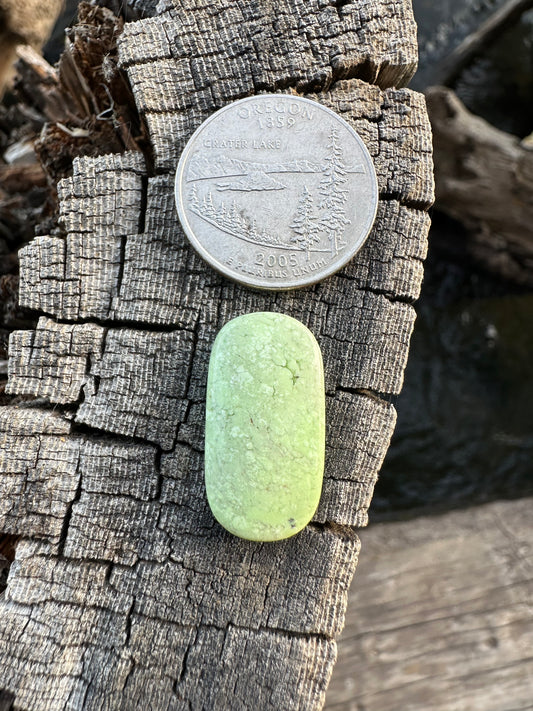 Lemon Chrysoprase Cabochon